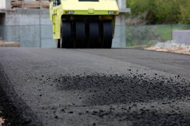 Best Custom Driveway Pavers  in Allendale, CA